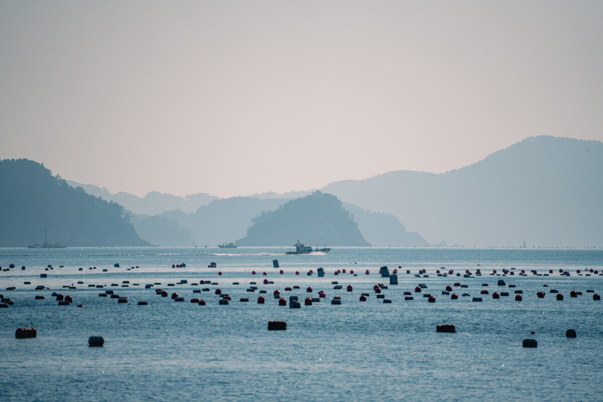 문화도시 2화 : 지금 통영을 배경 삼아 예술을 이어가는 사람들